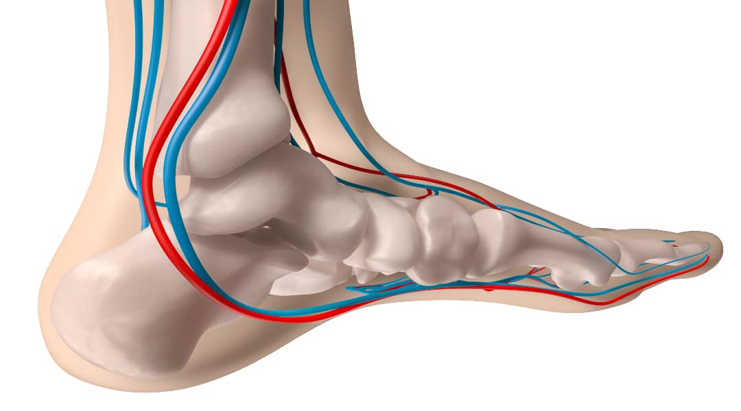 Micro circulation to feet 