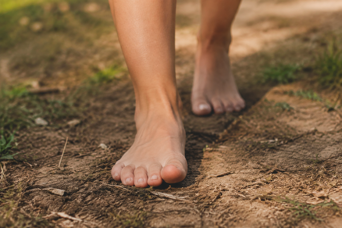 Born to Walk:  Why the Human Foot Is Designed for Movement